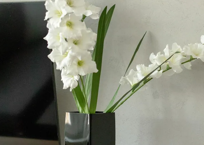 Stylowe W Centrum Gdyni I Blisko Plaży By Renters